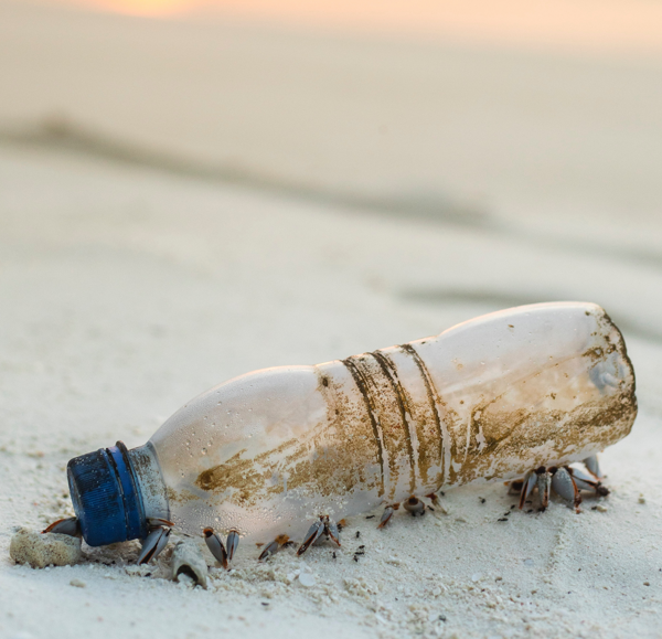 plastic bottle on beach